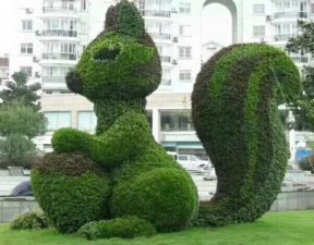 动物造型绿雕